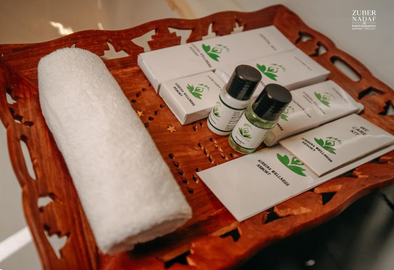 Kireina Wellness Resort Koynanagar Kültér fotó